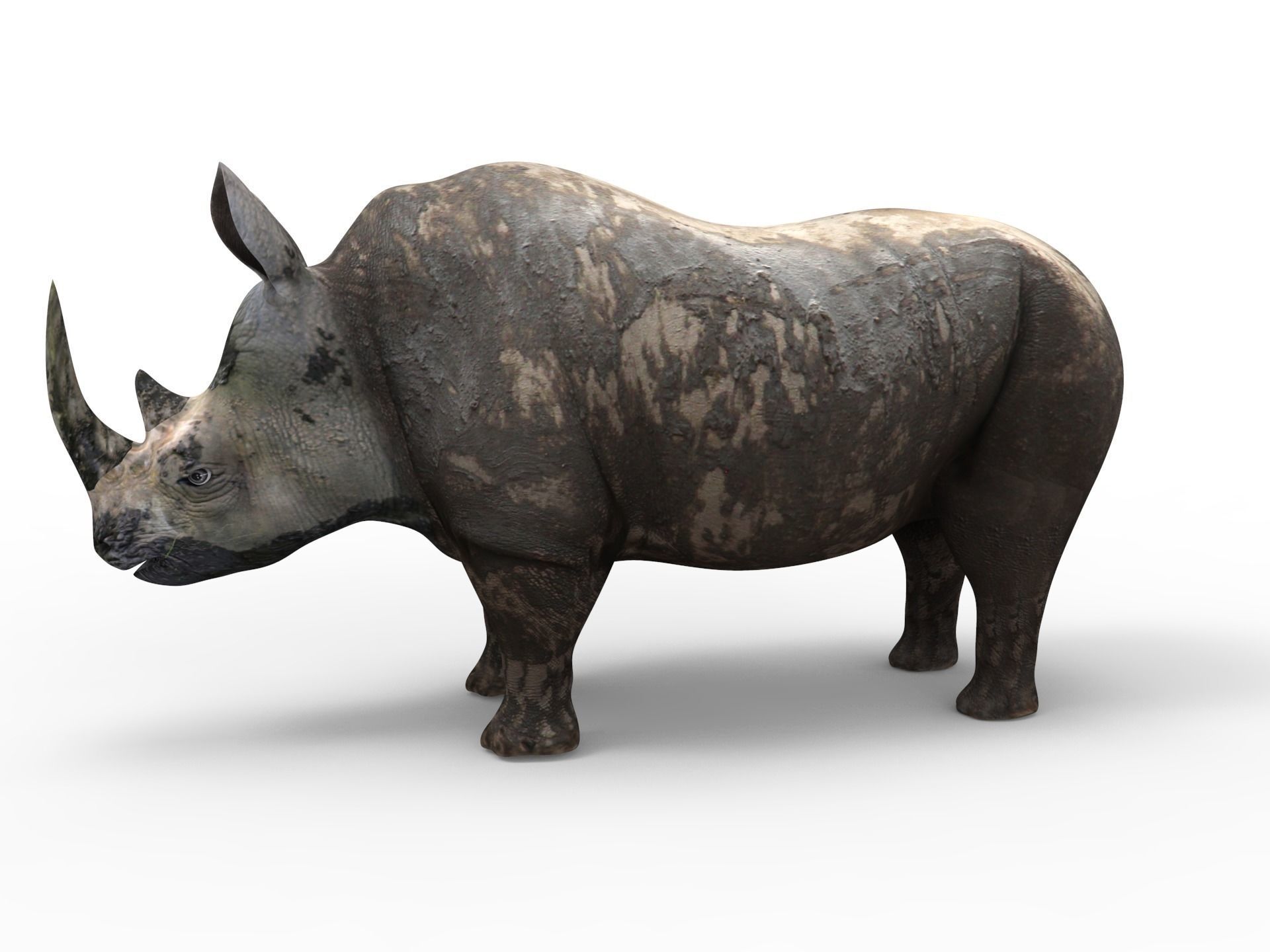 Dirty Realistic Rhino Rigged and animated 3D Model Low-poly 3D model_2