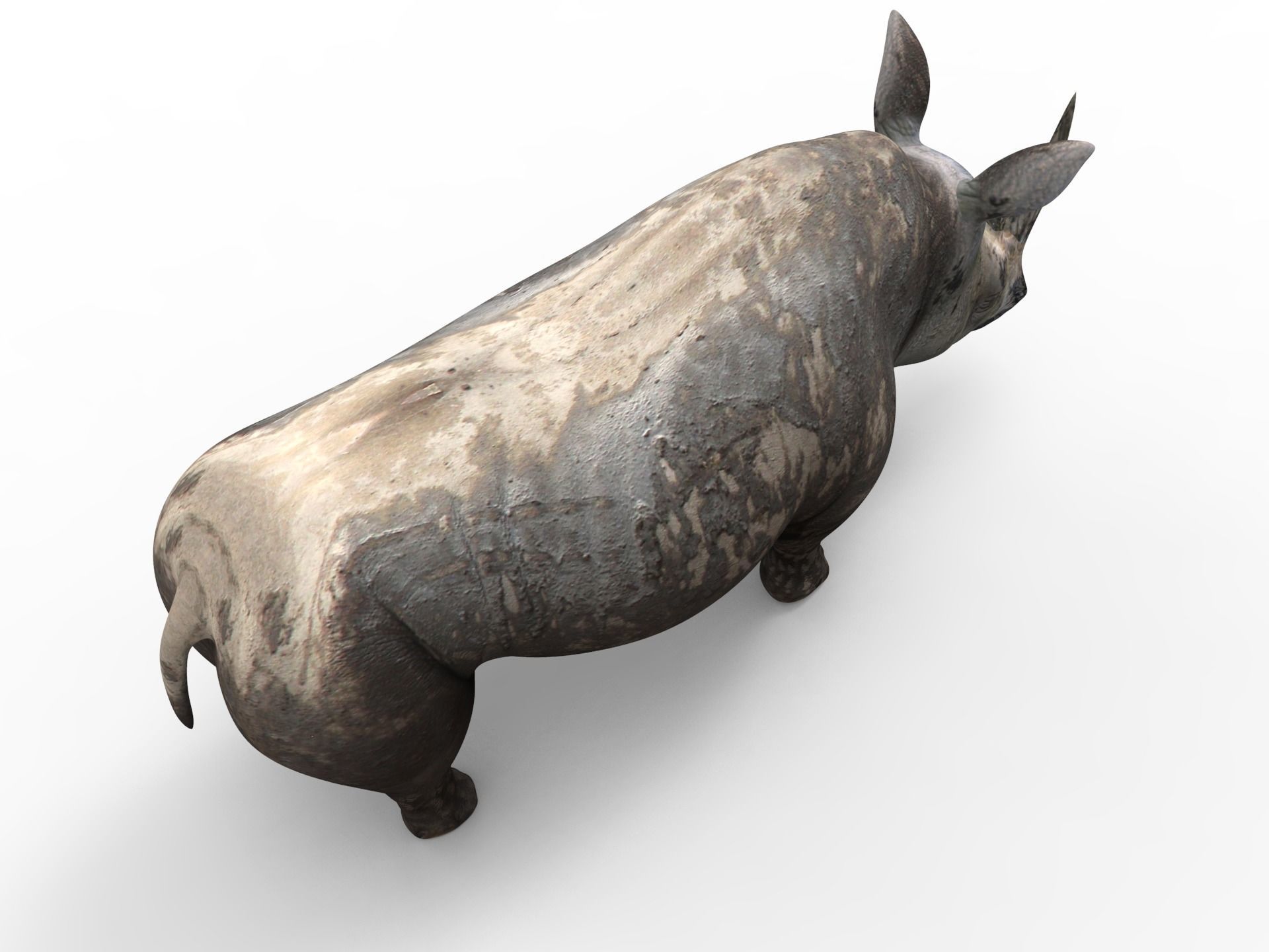 Dirty Realistic Rhino Rigged and animated 3D Model Low-poly 3D model_8