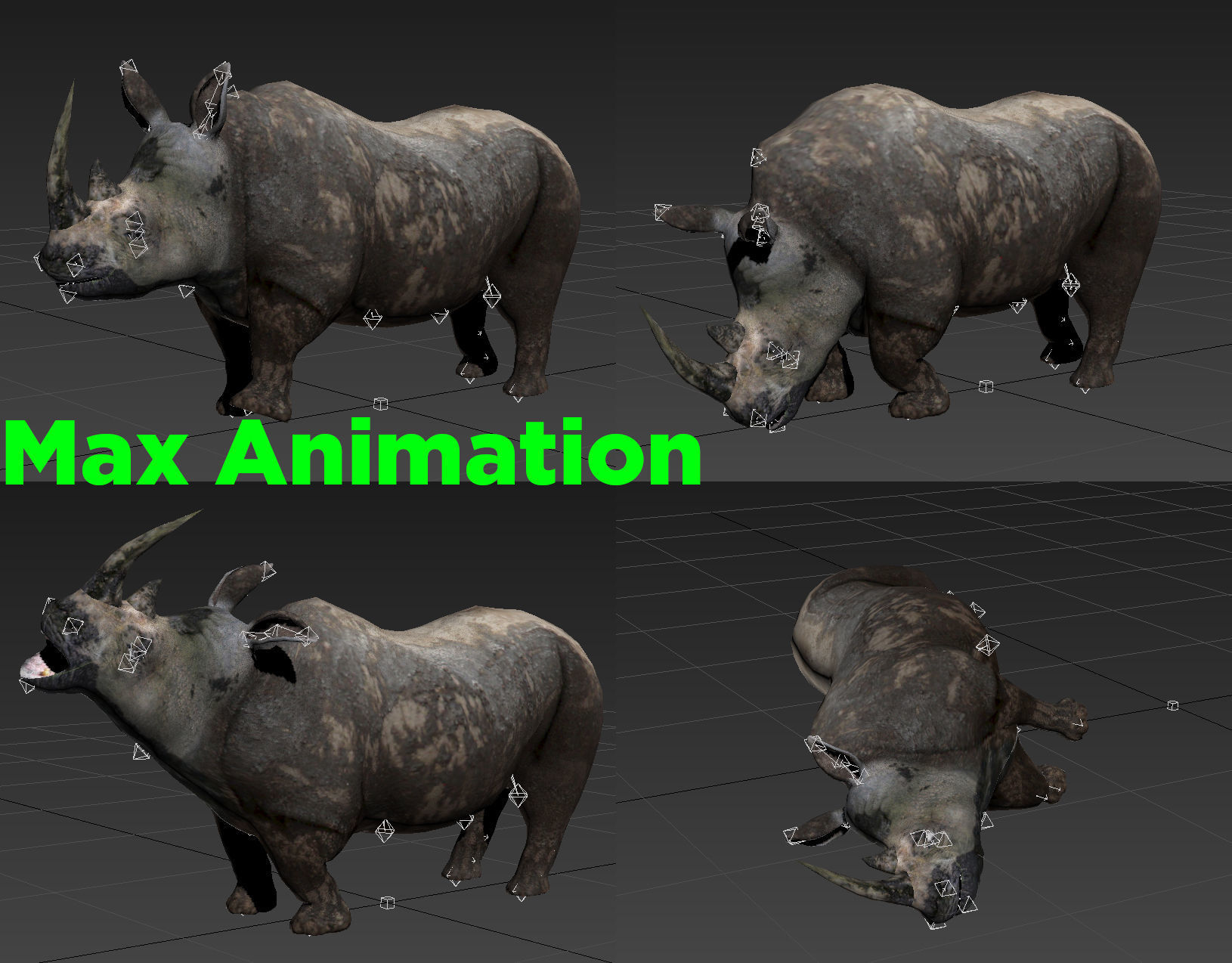 Dirty Realistic Rhino Rigged and animated 3D Model Low-poly 3D model_16