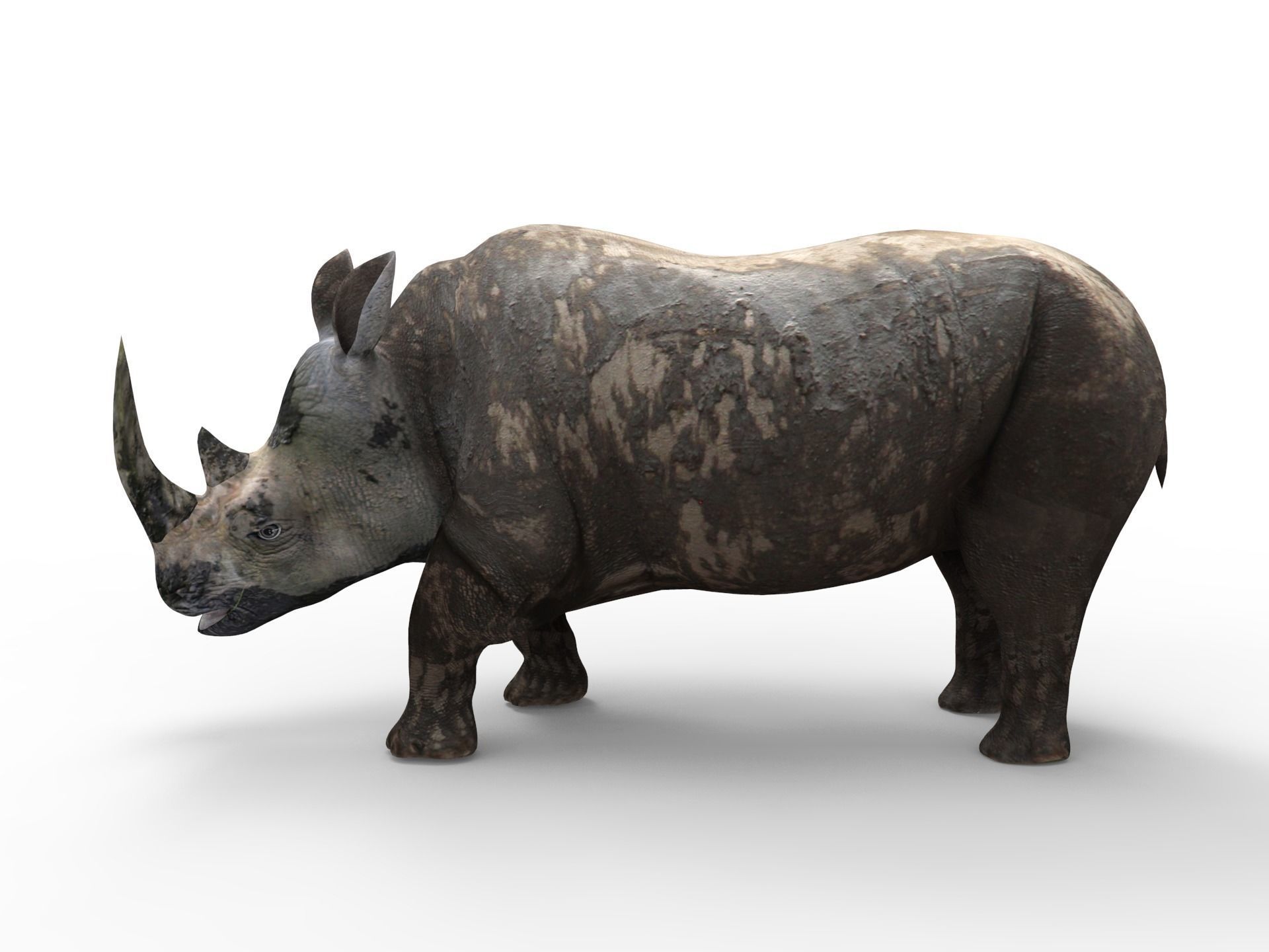 Dirty Realistic Rhino Rigged and animated 3D Model Low-poly 3D model_12