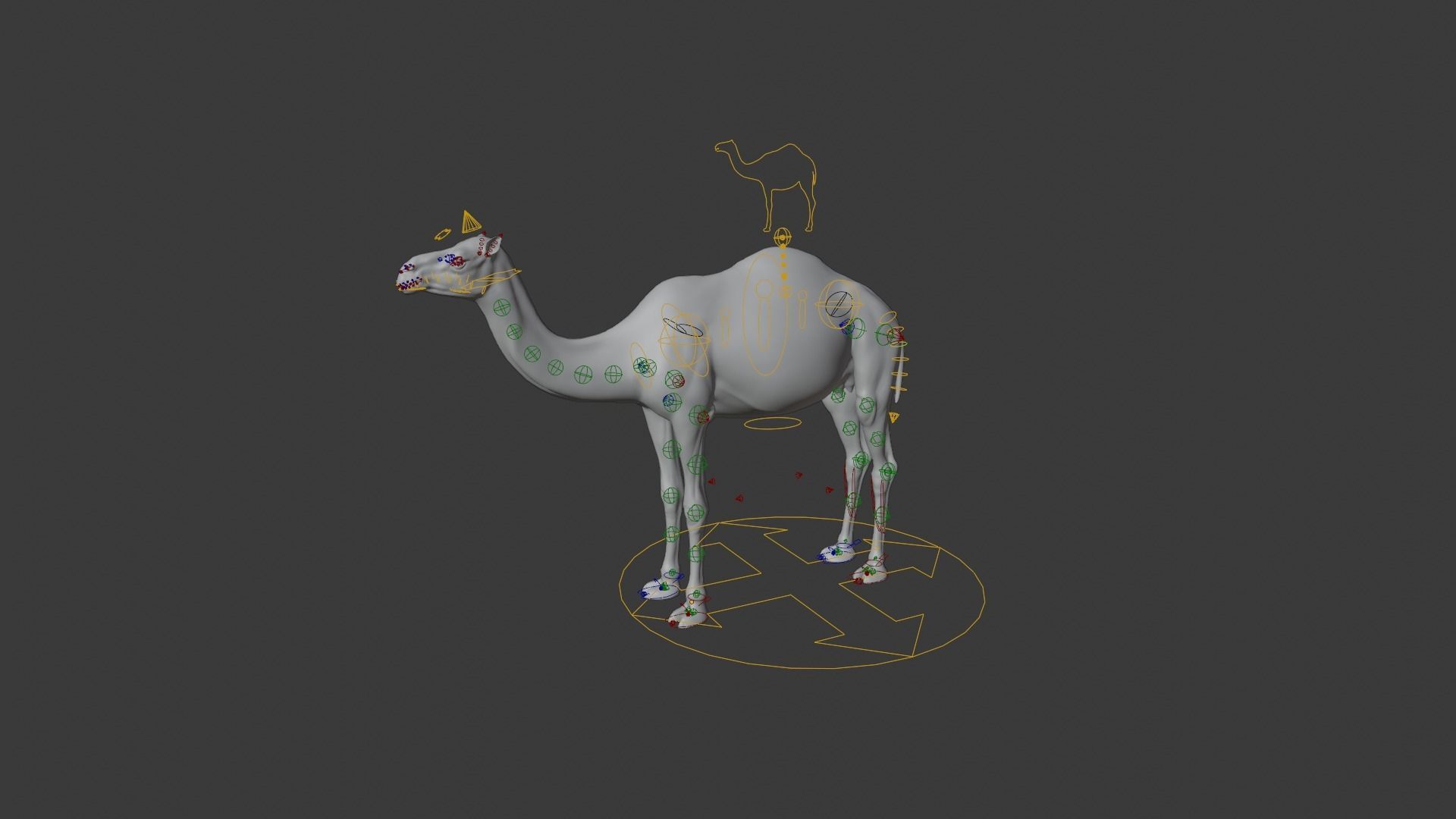 Camel Adult and Baby Rigged 3D model_14