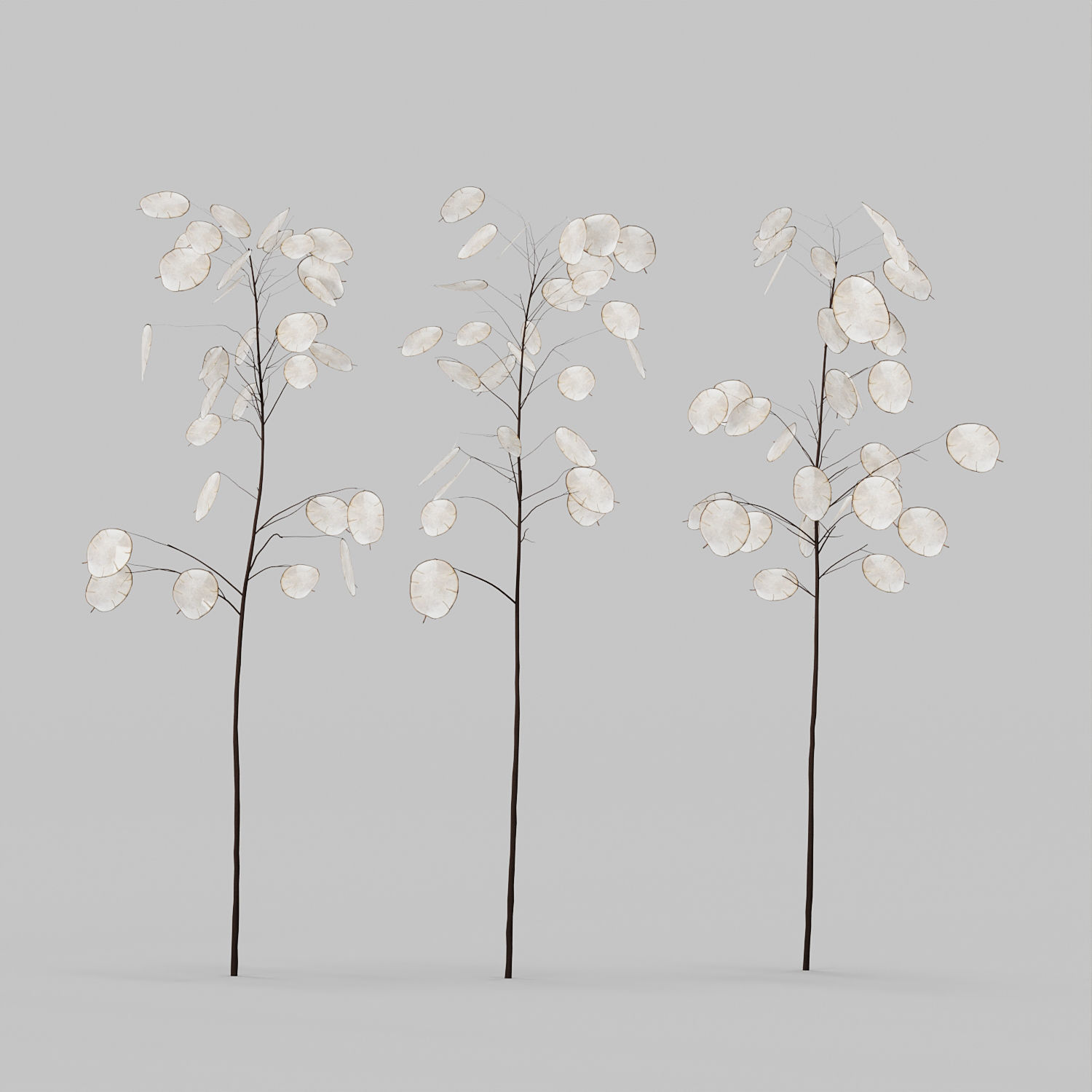 Decorative Set No3 3D model_12