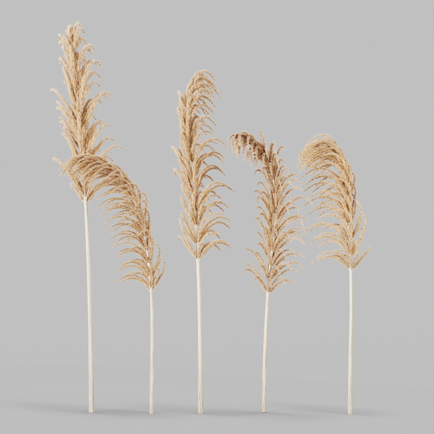 Decorative Set No3 3D model_10