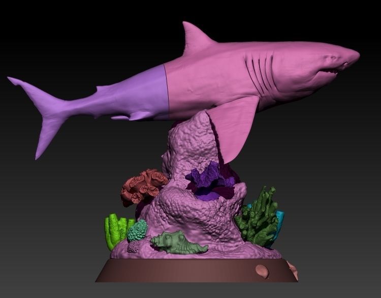 Coral Reef Great White Shark 3D print model_3