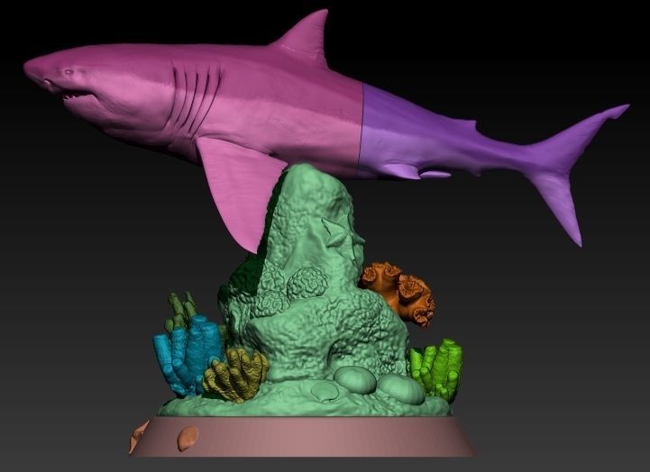 Coral Reef Great White Shark 3D print model_6