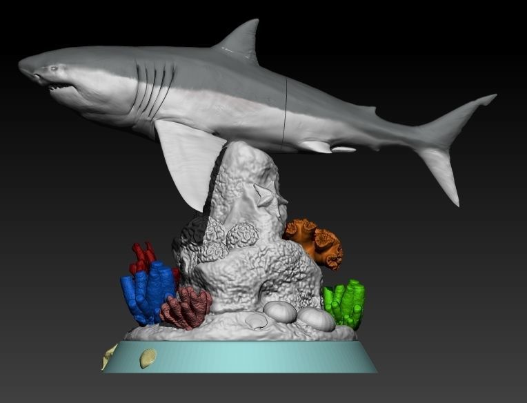 Coral Reef Great White Shark 3D print model_5