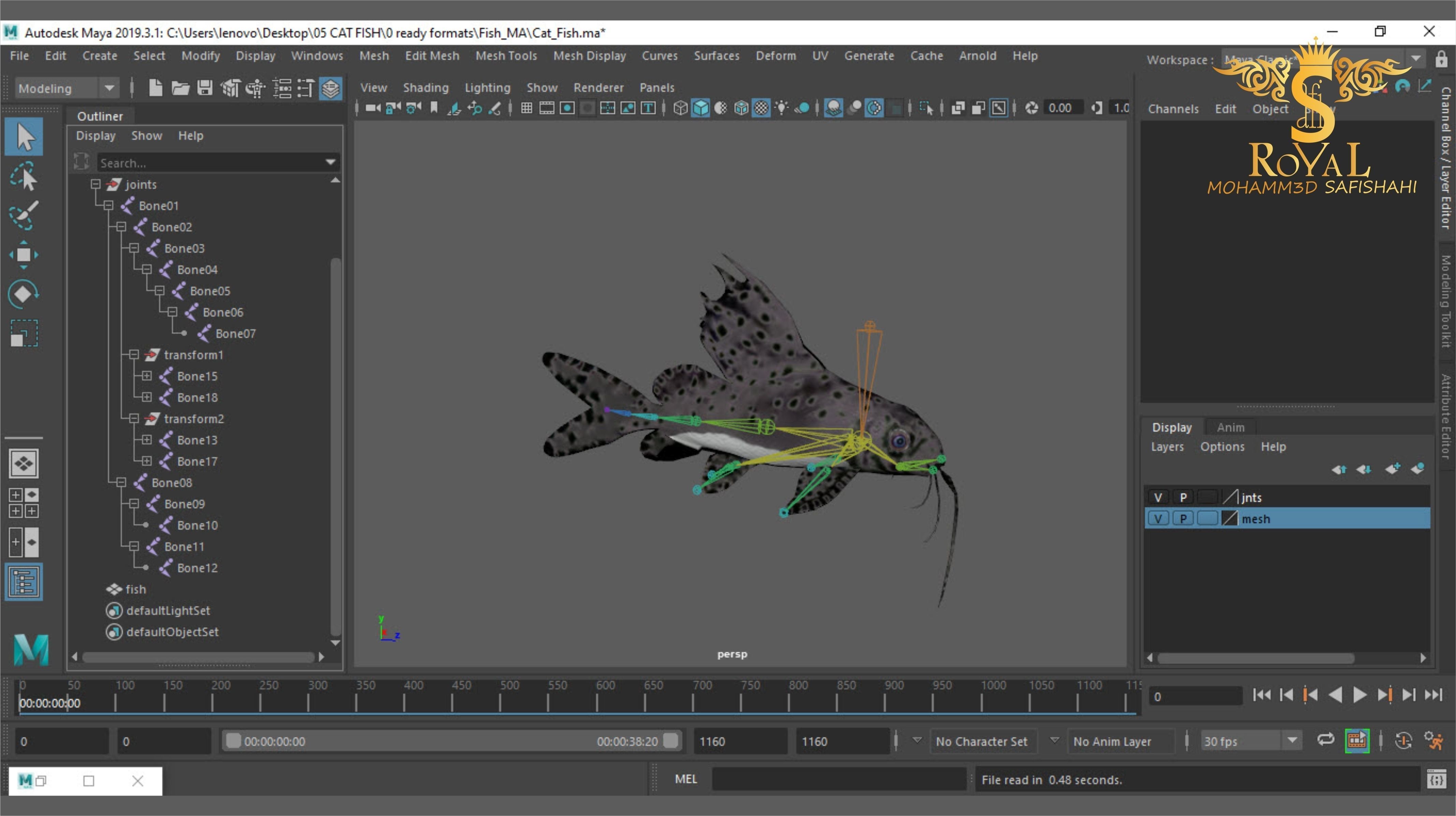 Animated Cat Fish - Loop Animation with 1160 Frames Low-poly 3D model_16