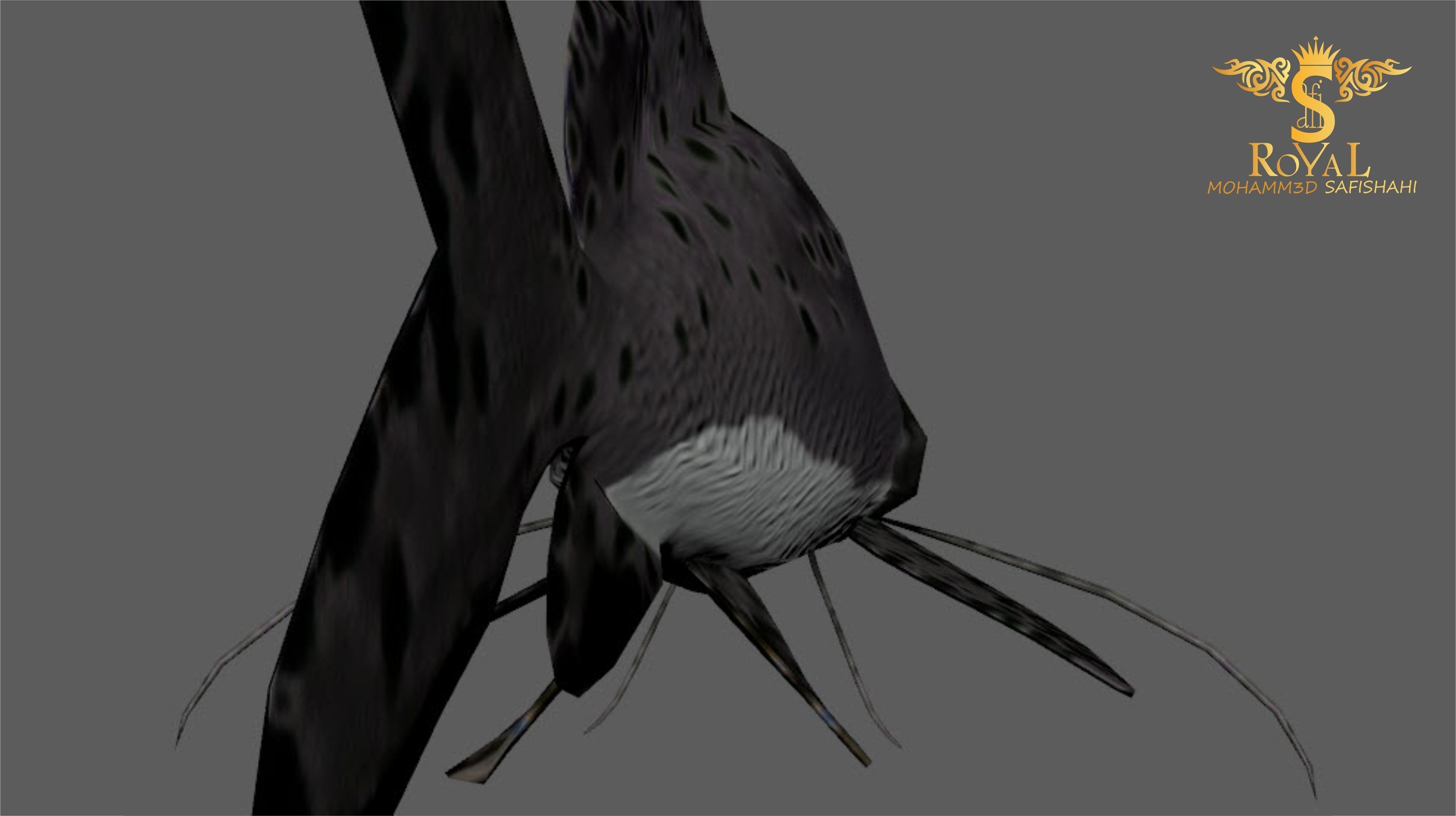 Animated Cat Fish - Loop Animation with 1160 Frames Low-poly 3D model_8