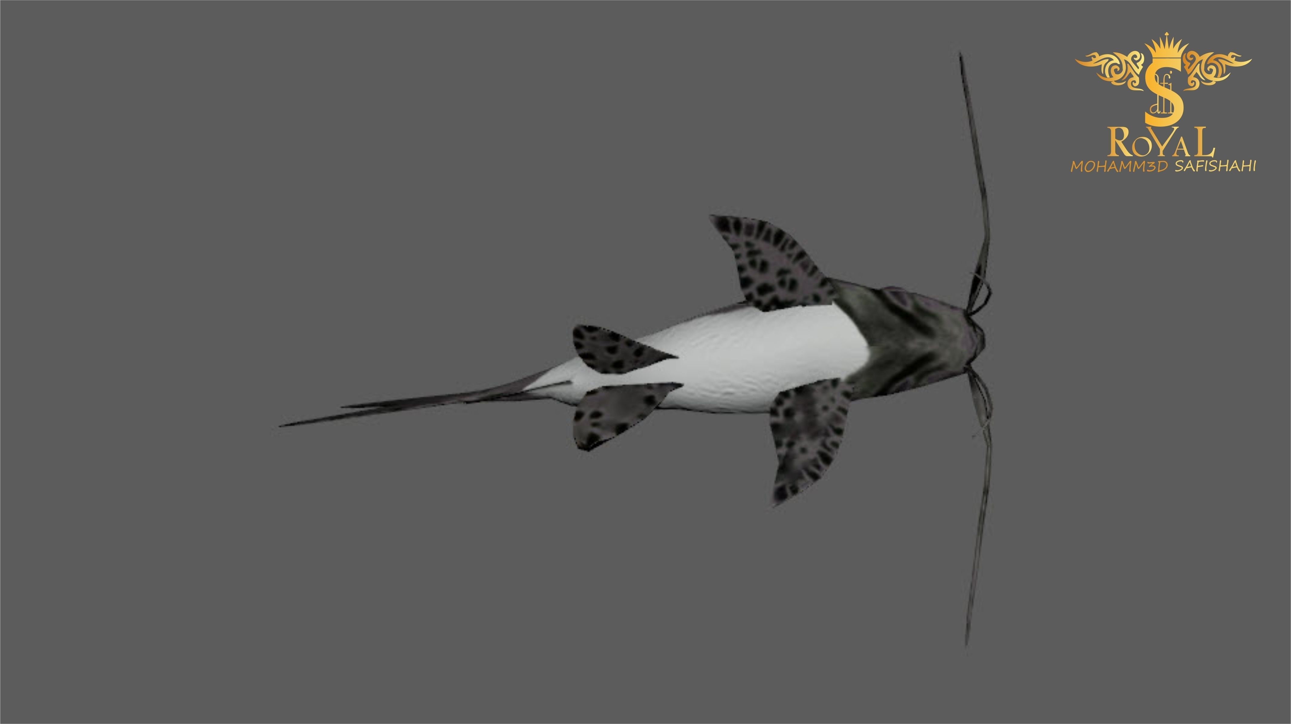 Animated Cat Fish - Loop Animation with 1160 Frames Low-poly 3D model_9