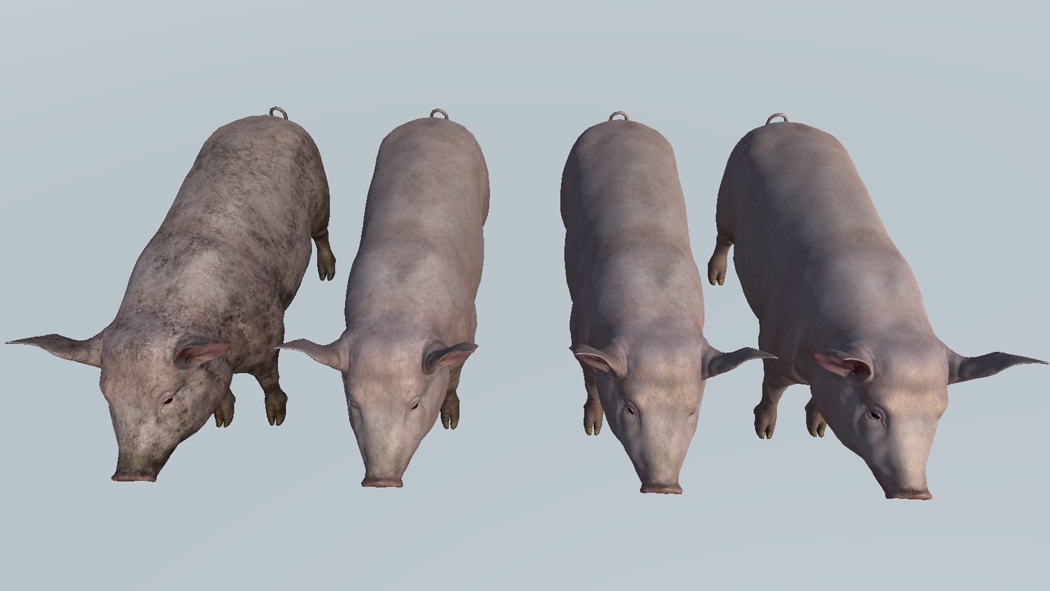 PIG FAMILY Low-poly 3D model_23