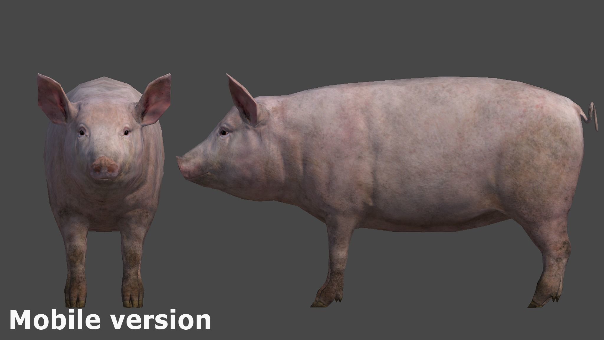 PIG FAMILY Low-poly 3D model_24
