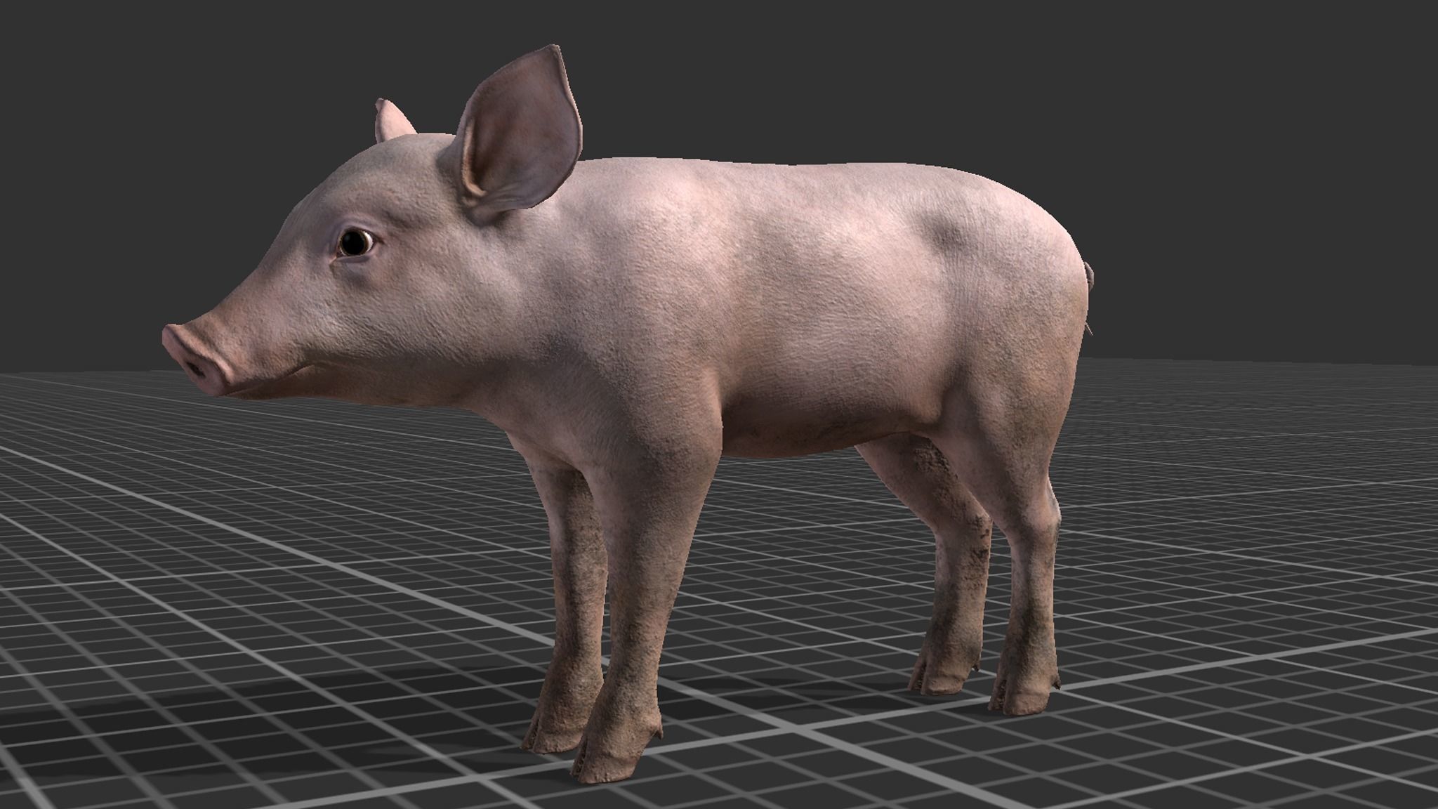 PIG FAMILY Low-poly 3D model_12