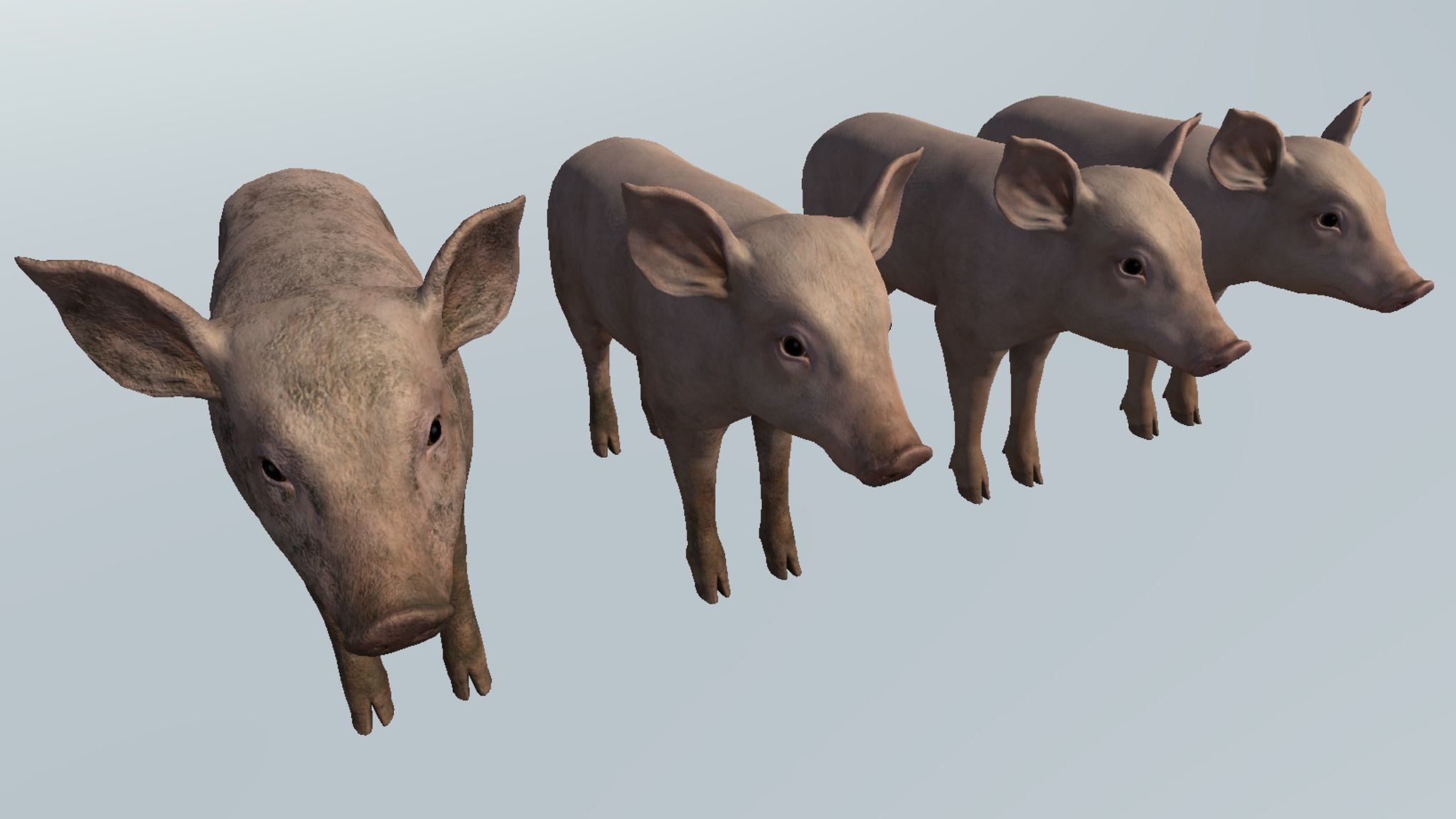 PIG FAMILY Low-poly 3D model_20