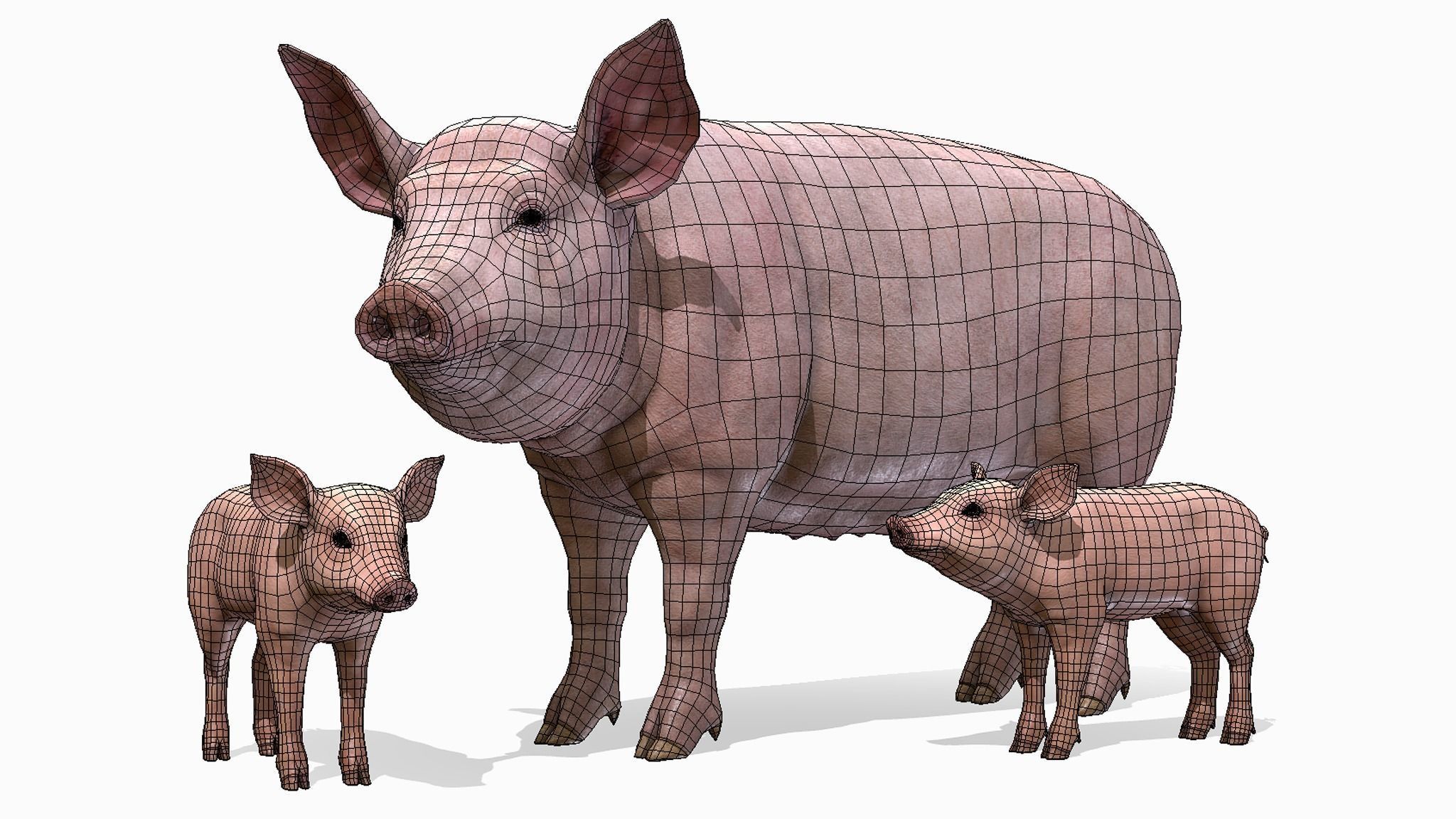 PIG FAMILY Low-poly 3D model_2