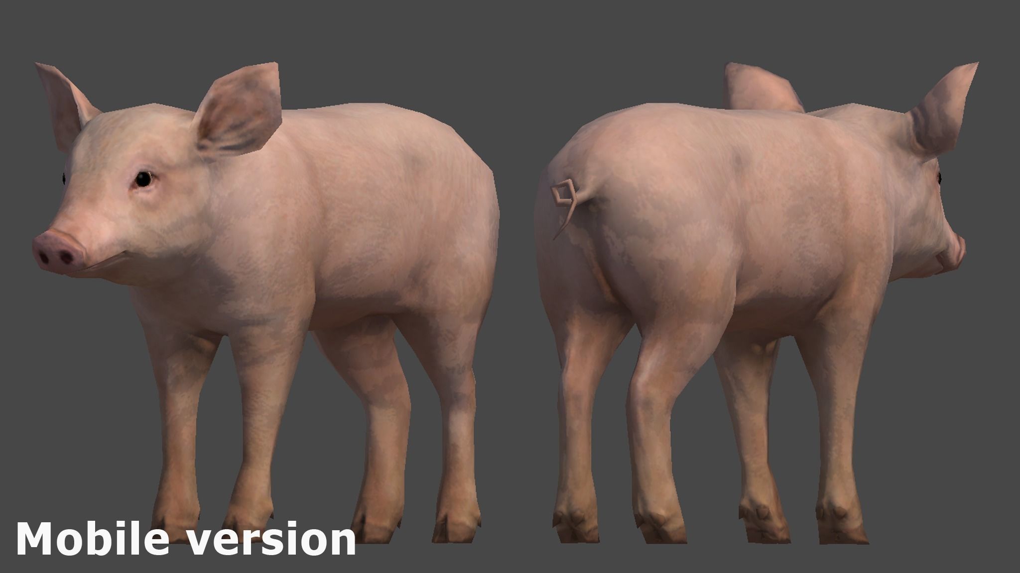 PIG FAMILY Low-poly 3D model_25