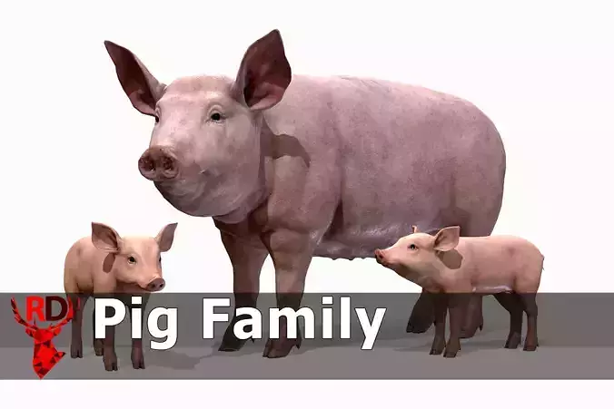 PIG FAMILY Low-poly 3D model