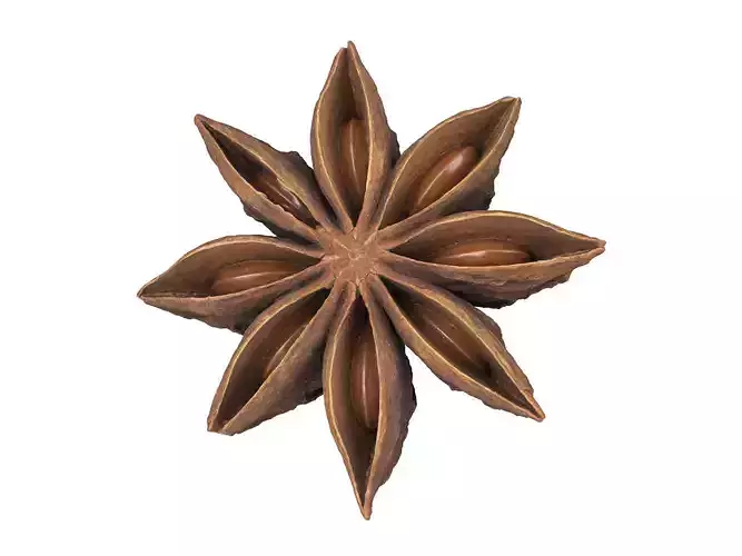 Photorealistic Star Anise 3D Scan 2