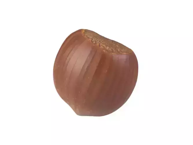 Photorealistic Hazelnut 3D Scan 3