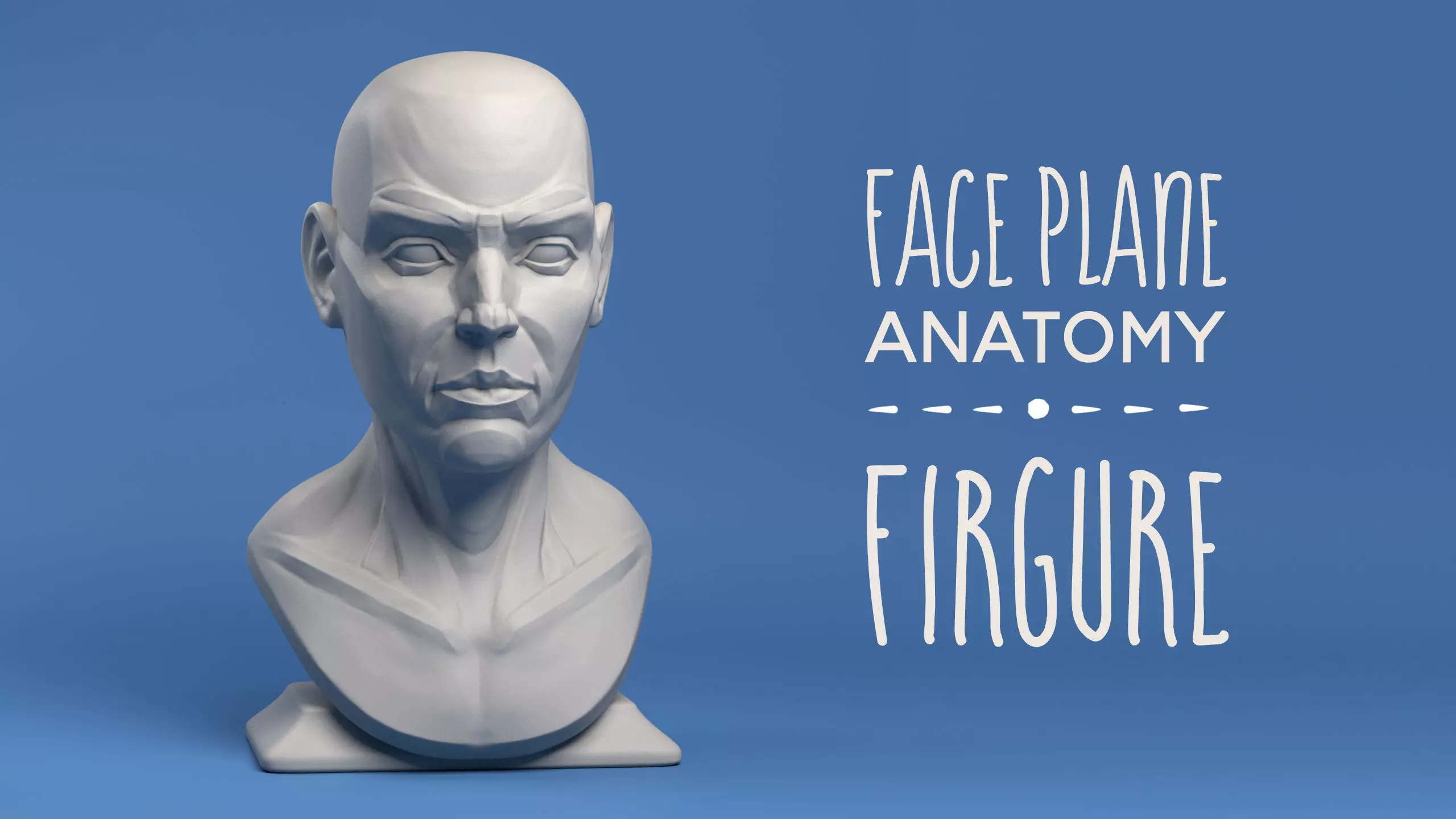 Face Plane Anatomy 3D print model_0