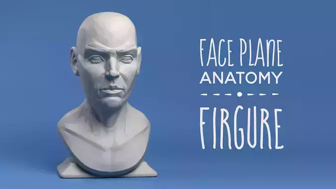 Face Plane Anatomy 3D print model