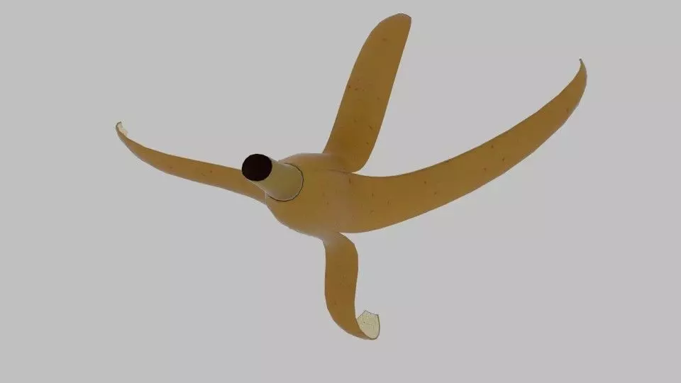 Banana Skin Low-poly 3D model_0