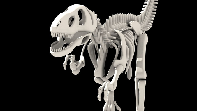 Dinosaurus skeleton Low-poly 3D model