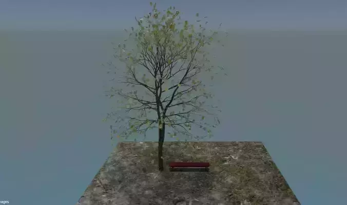 Realistic Rigged Tree with Bench Low-poly 3D model
