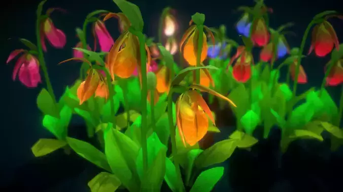 Flowwer Cypripedium Acaule Low-poly 3D model