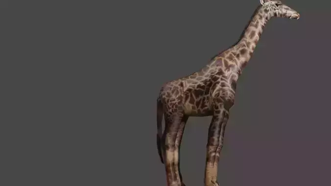 ANIMAL GIRAFFE Low-poly 3D model