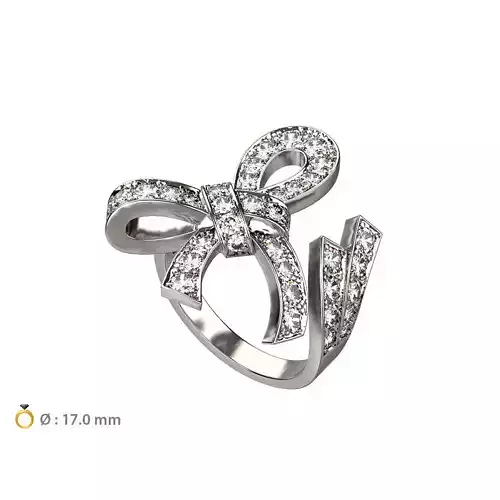 N027 Ribbon ring 3D print model