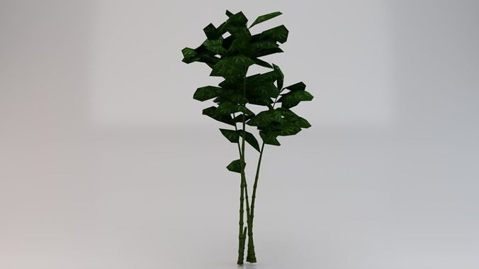 Bamboo Trees  Low-poly 3D model