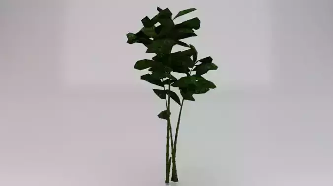 Bamboo Trees  Low-poly 3D model