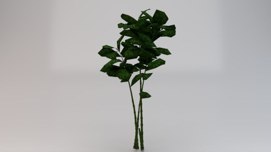 Bamboo Trees  Low-poly 3D model_2