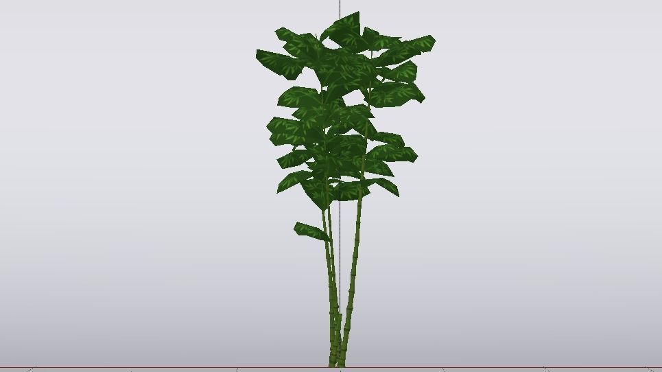 Bamboo Trees  Low-poly 3D model_5