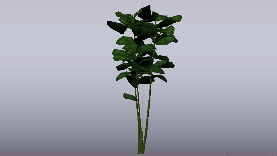 Bamboo Trees  Low-poly 3D model_9
