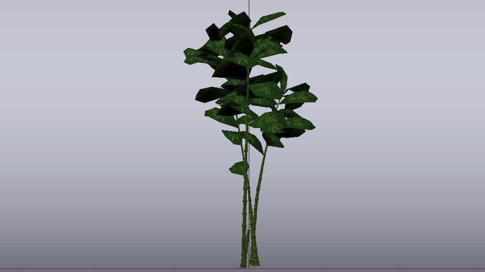 Bamboo Trees  Low-poly 3D model_8