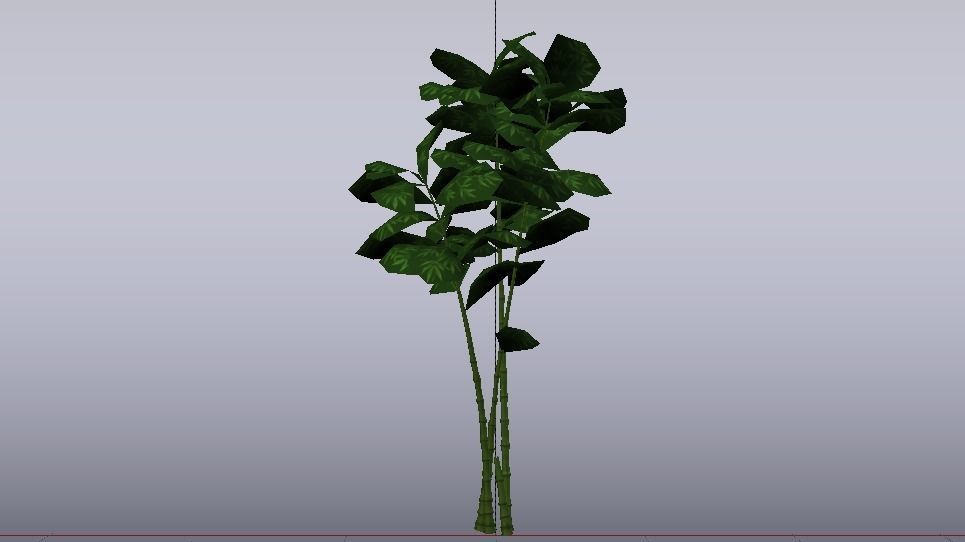 Bamboo Trees  Low-poly 3D model_10