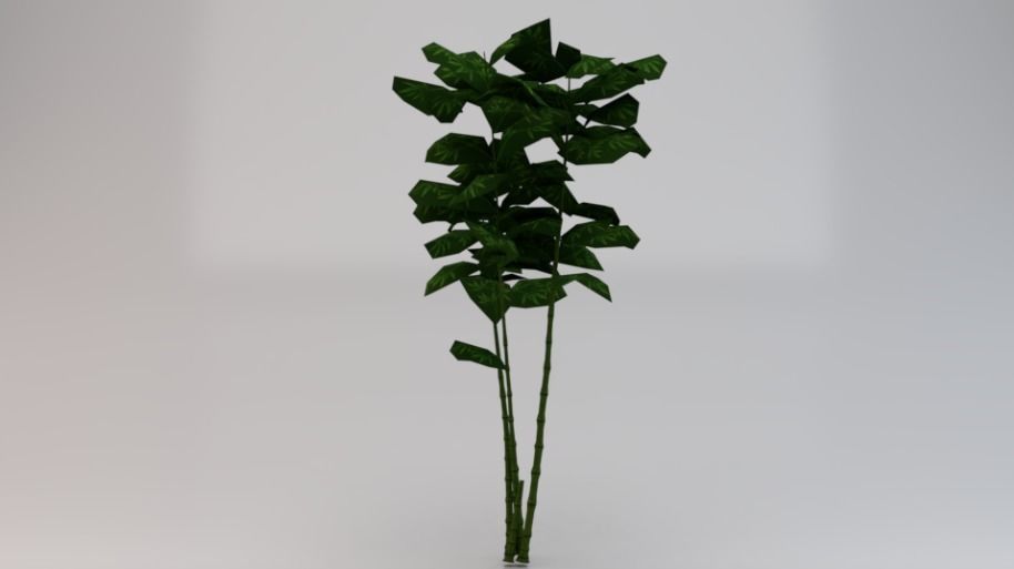 Bamboo Trees  Low-poly 3D model_1