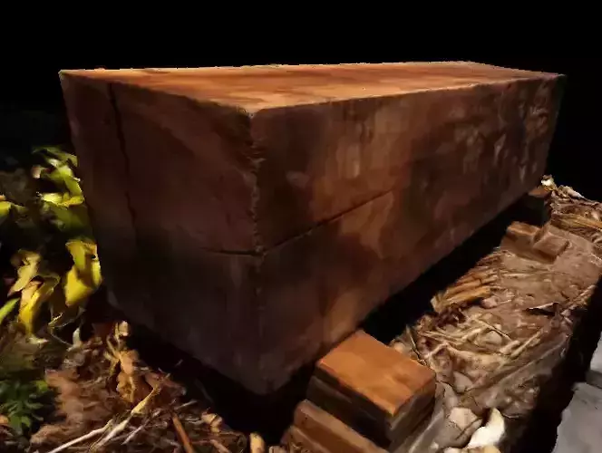 sawed log - Tronco aserrado