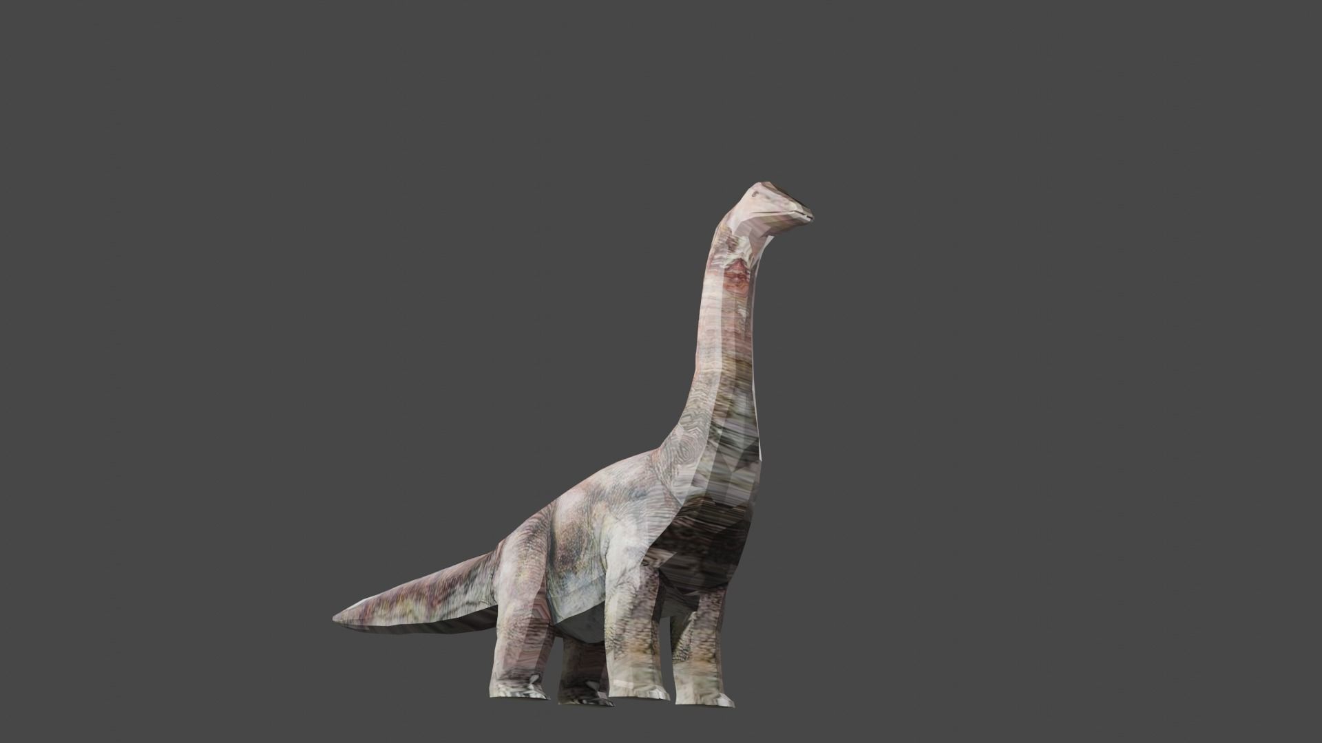 BRACHIOSAURS DINOSAUR Low-poly 3D model_2