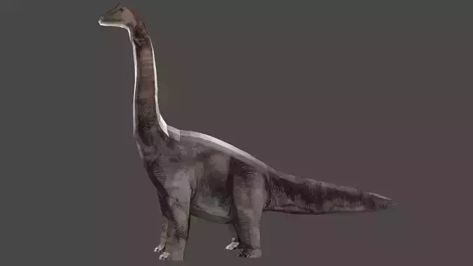 BRACHIOSAURS DINOSAUR