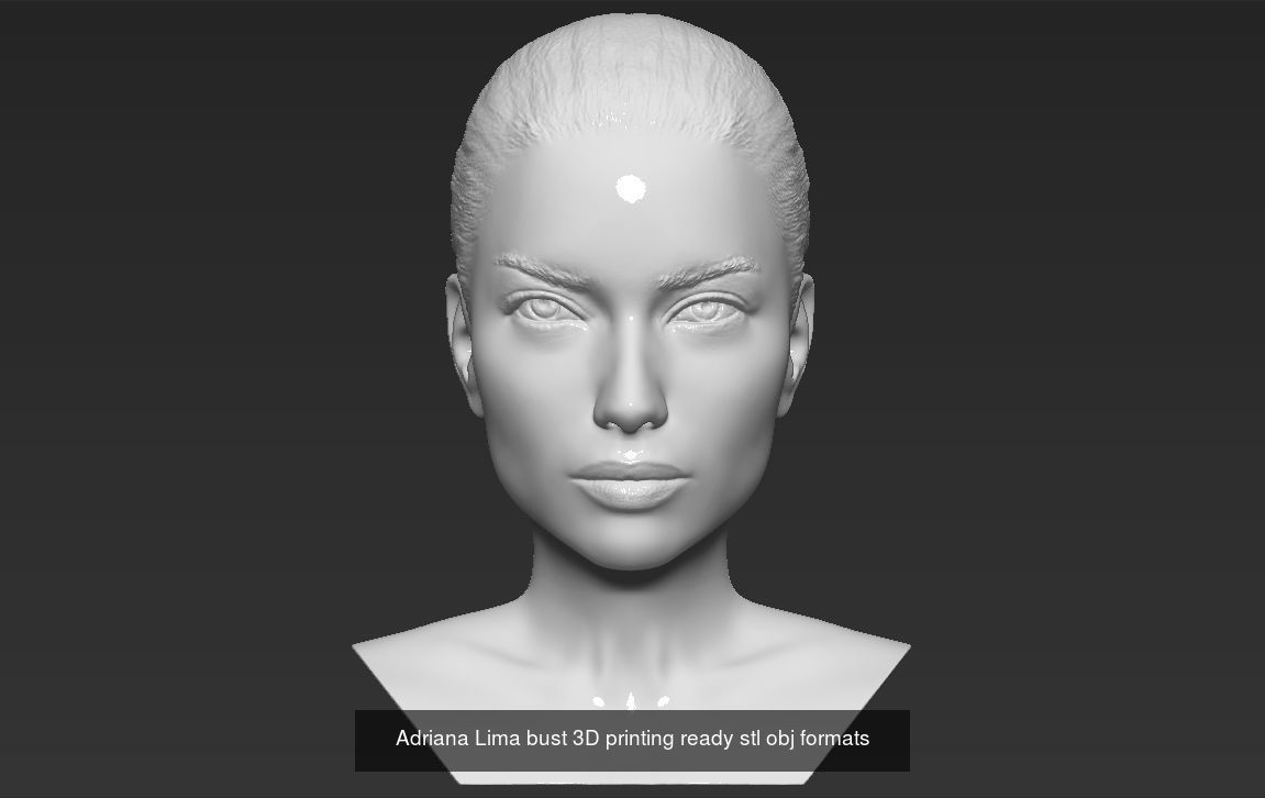 Supermodels busts ready for 3D printing 3D Model Collection_2