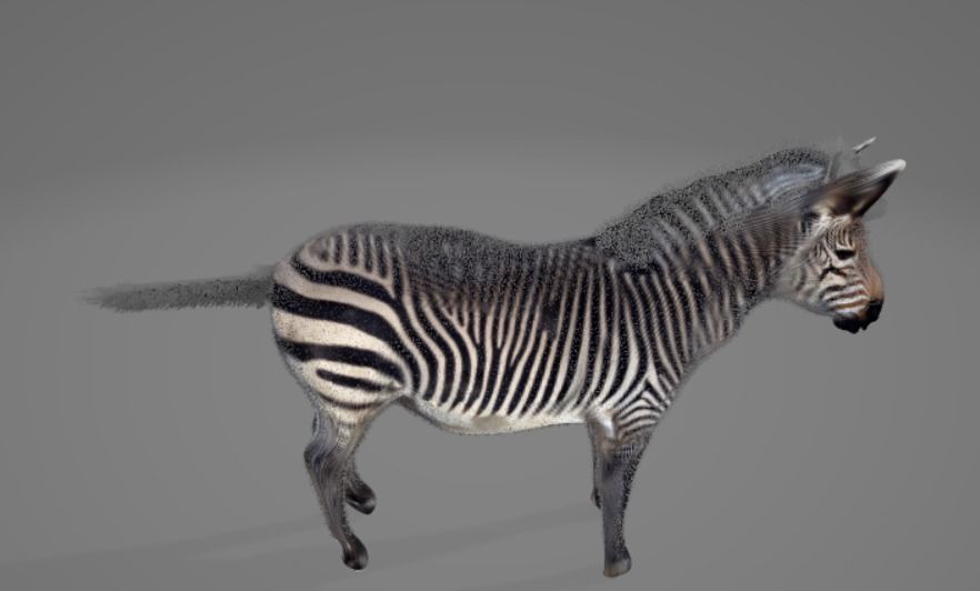 Zebra 3D model_8