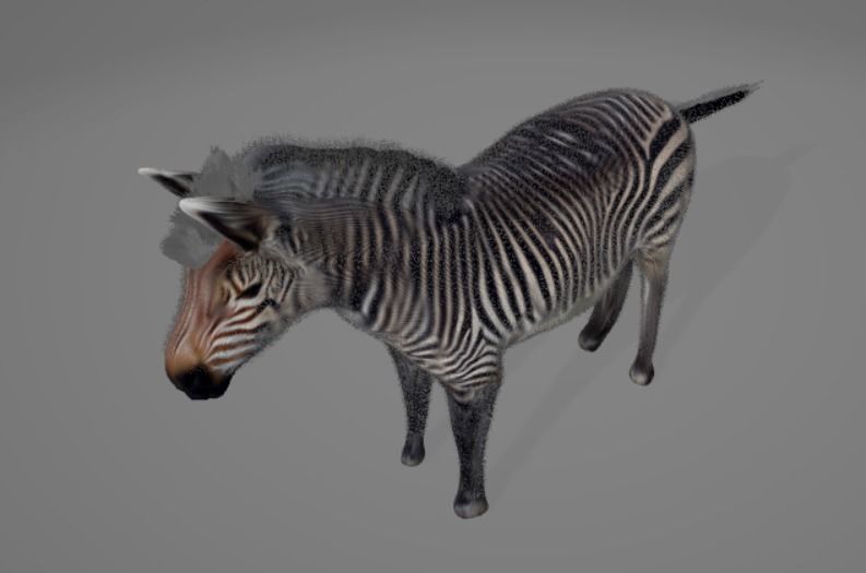 Zebra 3D model_3