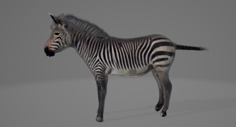 Zebra 3D model_4
