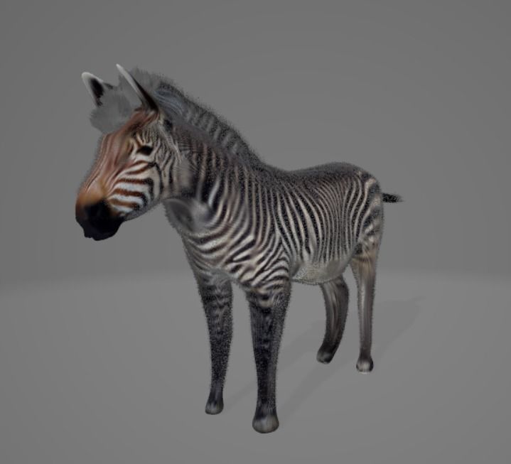 Zebra 3D model_2