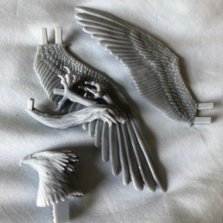 Griffin-Hippogriff harry potter  3D print model_10