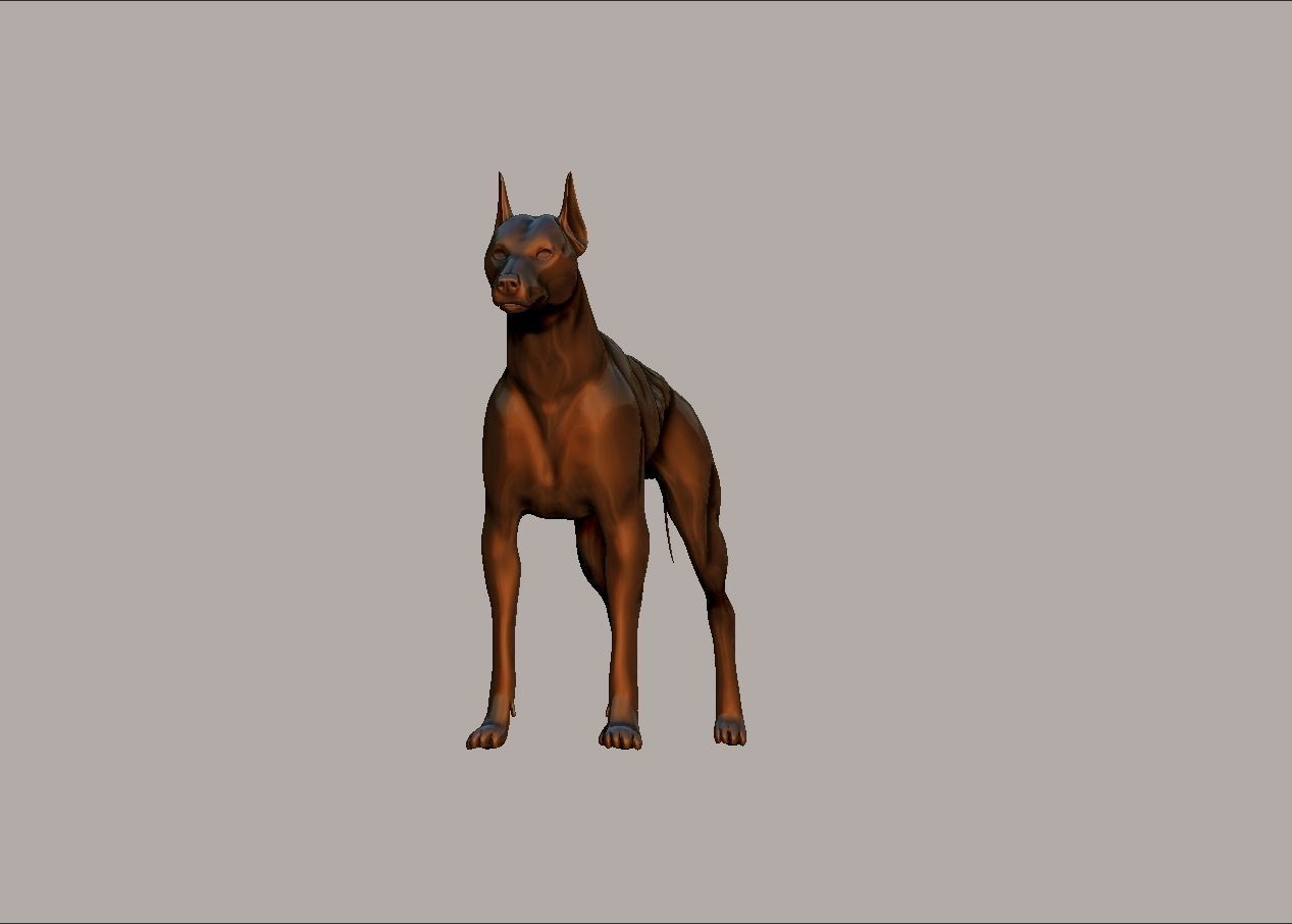 semi muscular doberman pinscher dog model 3D print model_18