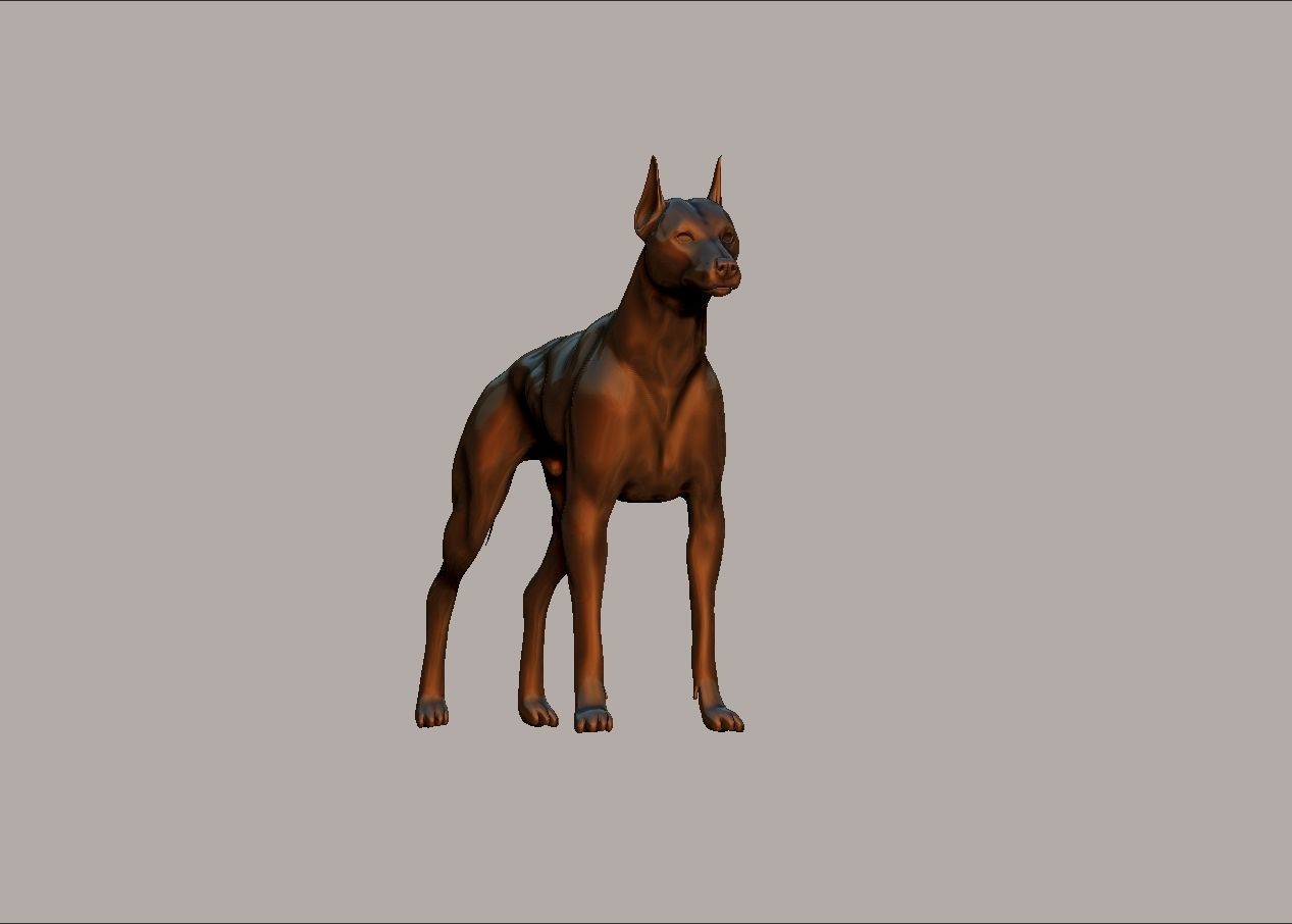 semi muscular doberman pinscher dog model 3D print model_15