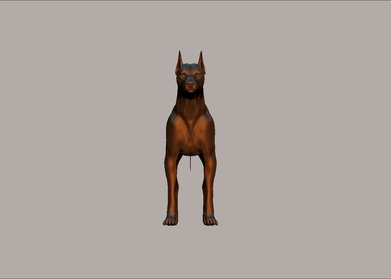 semi muscular doberman pinscher dog model 3D print model_17